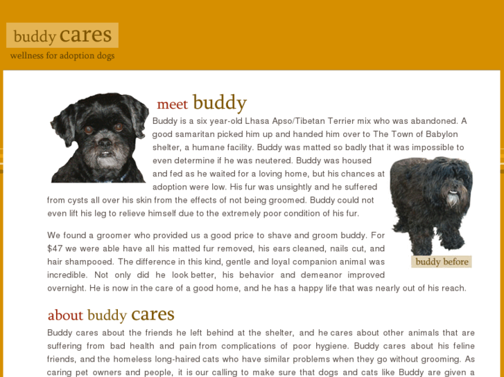 www.buddycares.com