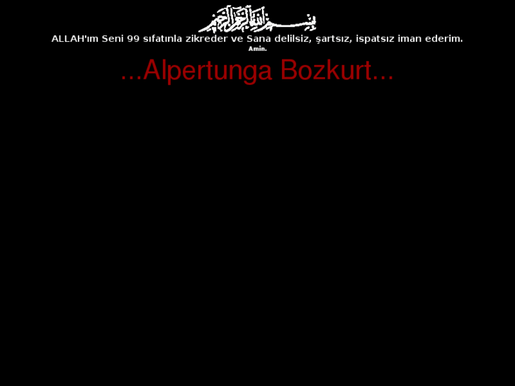 www.alpertunga.net