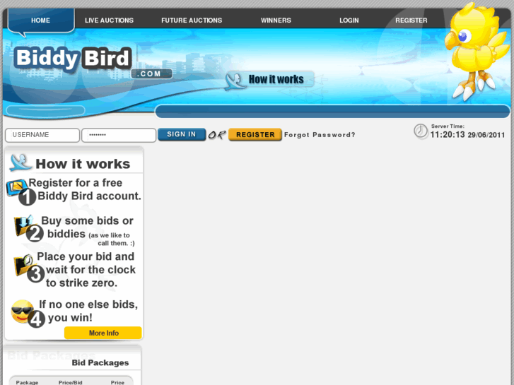 www.biddybird.com