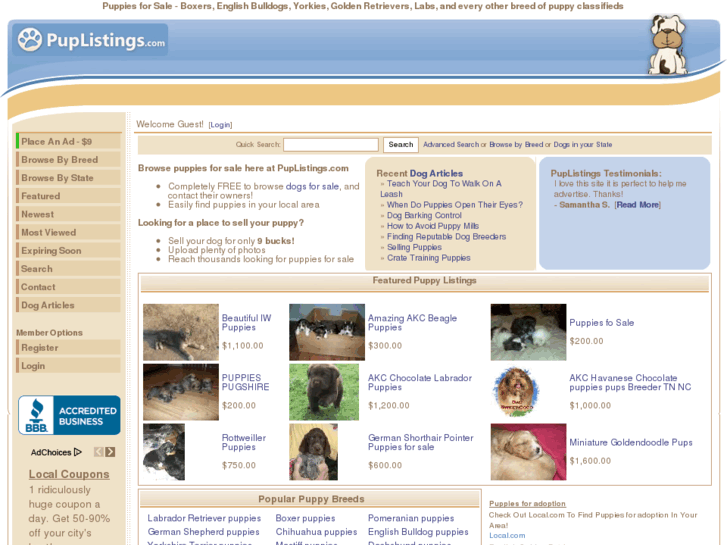 www.dogclassifieds.info