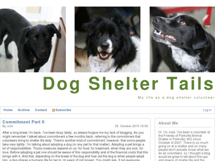 www.dogsheltertails.com