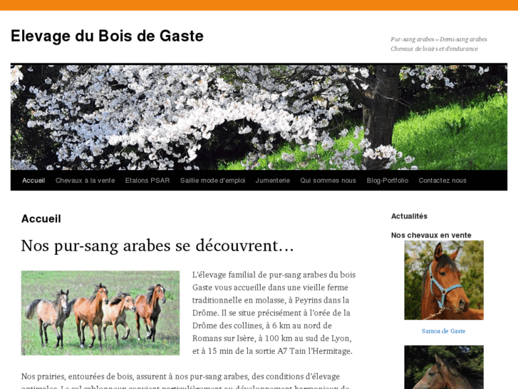 www.gastearabian.com