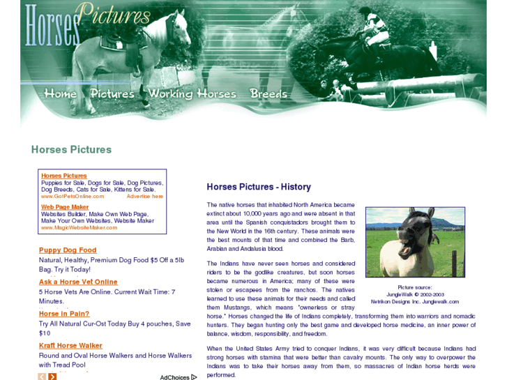 www.horses-pictures.org