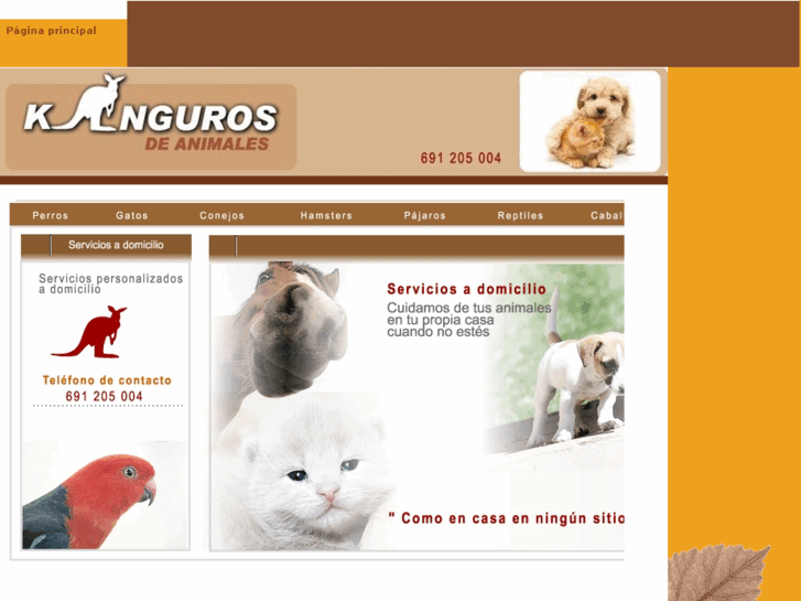 www.kangurosdeanimales.es