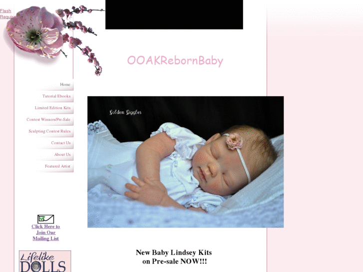 www.ooakrebornbaby.com