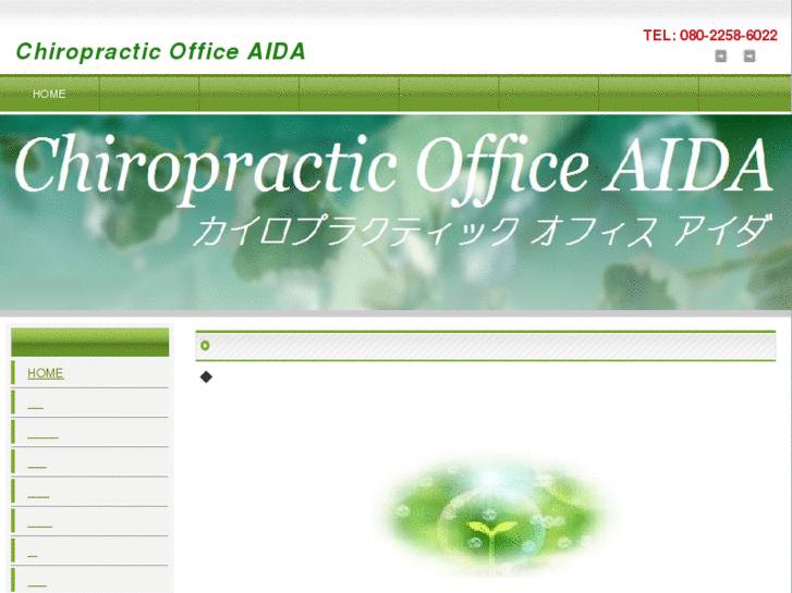 www.aida-chiro.com