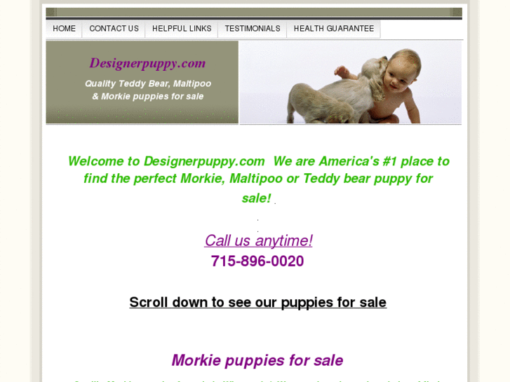 www.designerpuppy.com