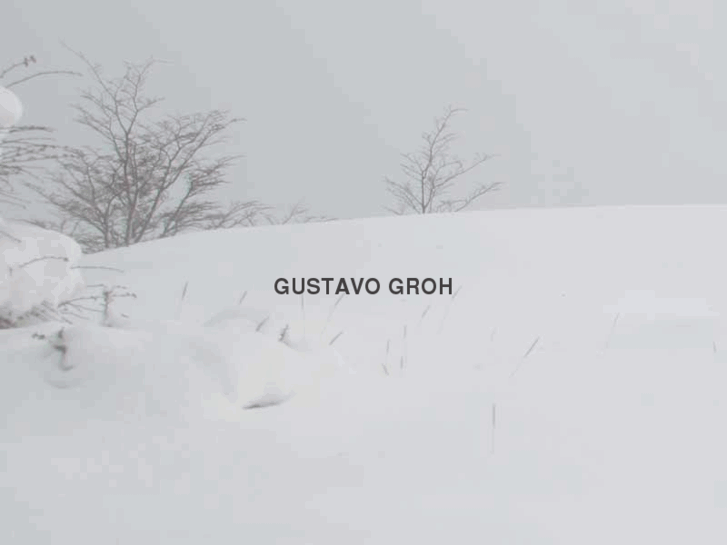 www.gustavogroh.net