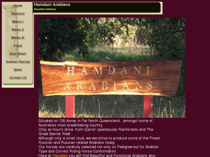 www.hamdaniarabians.com