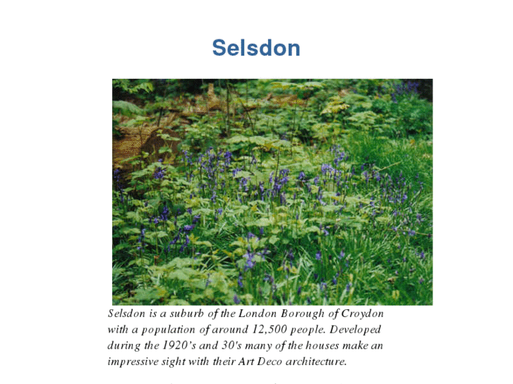 www.selsdon.com