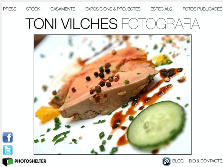 www.tonivilches.com