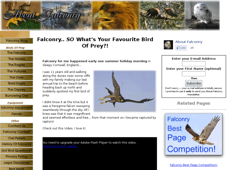 www.about-falconry.com