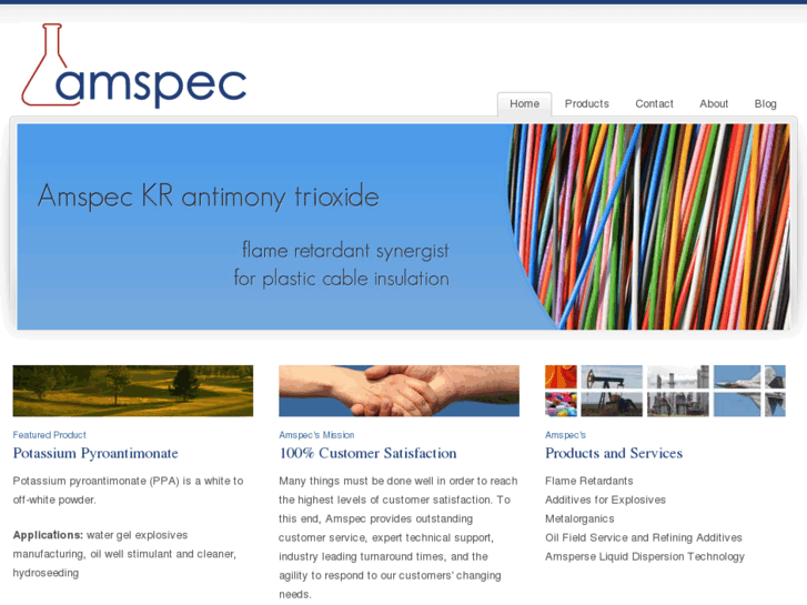 www.amspec.biz