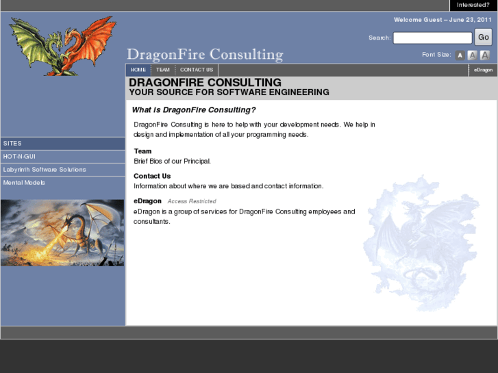 www.dragonfireconsulting.net