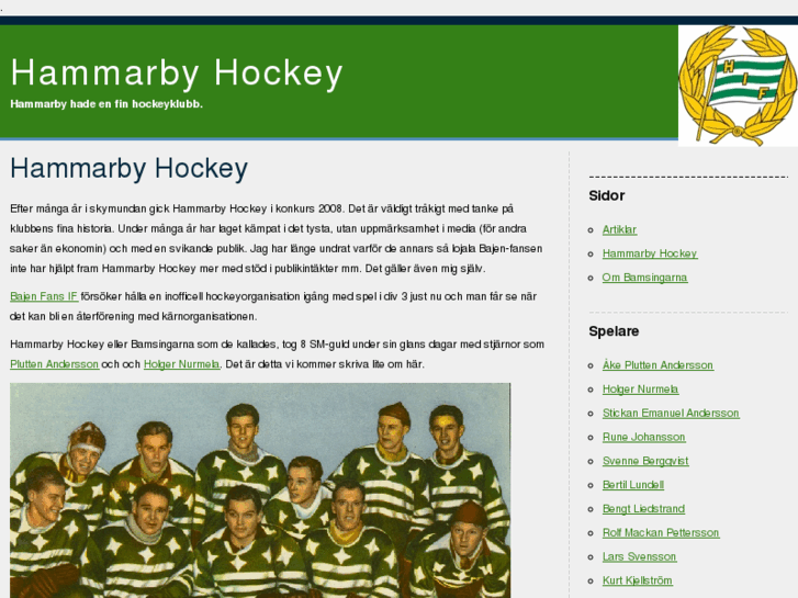 www.hammarby-hockey.se