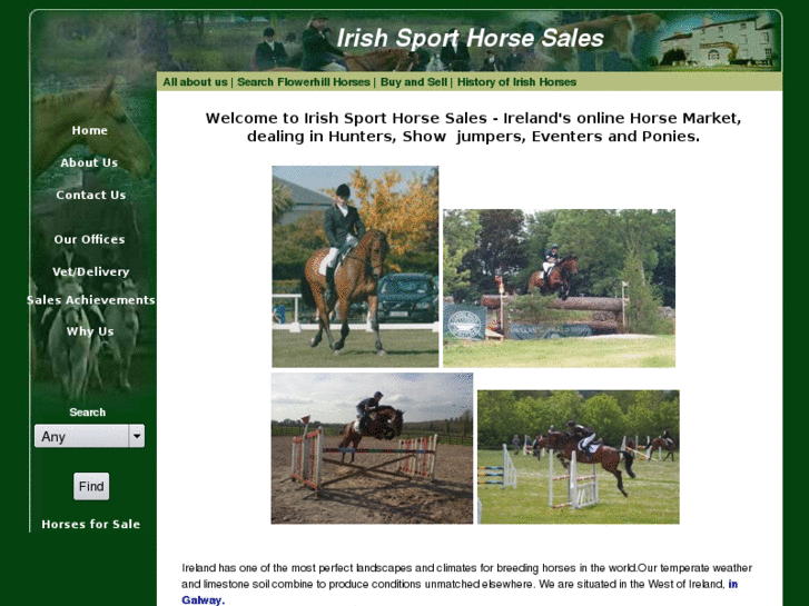 www.irish-sporthorse-sales.net