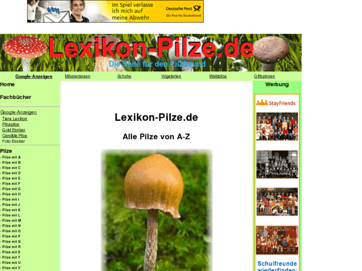 www.lexikon-pilze.de