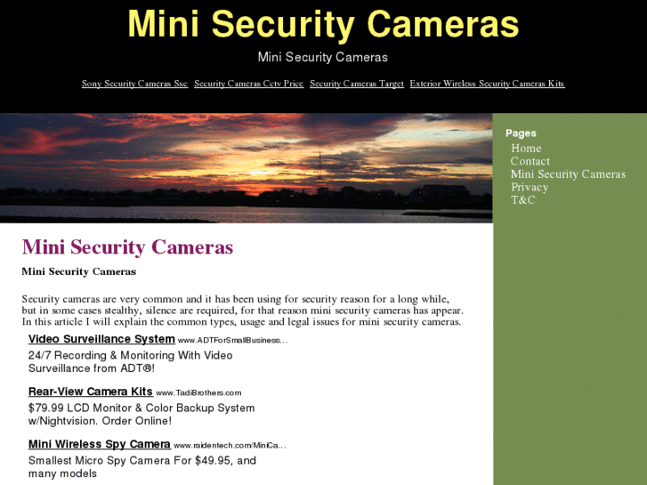 www.minisecuritycameras.org