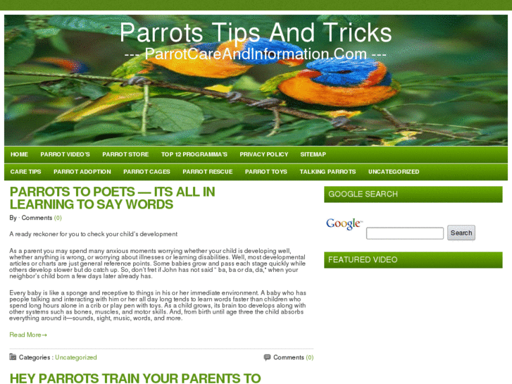 www.parrotcareandinformation.com