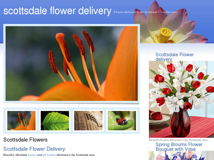 www.scottsdaleflowerdelivery.org