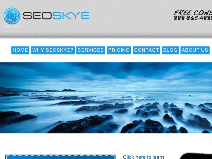 www.seoskye.info