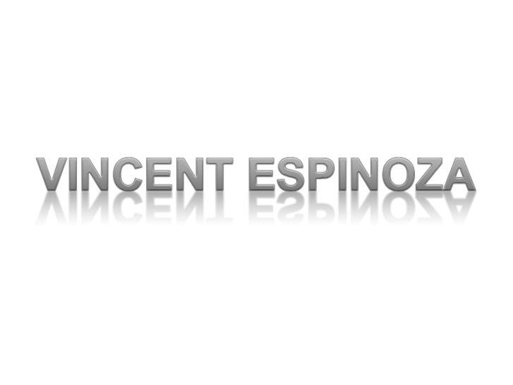 www.vincentespinoza.com