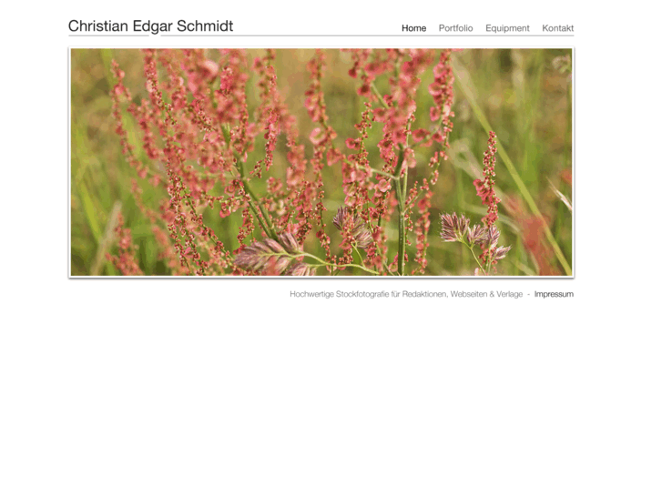www.visualsummer.info