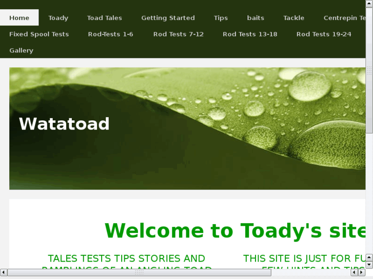 www.watatoad.com