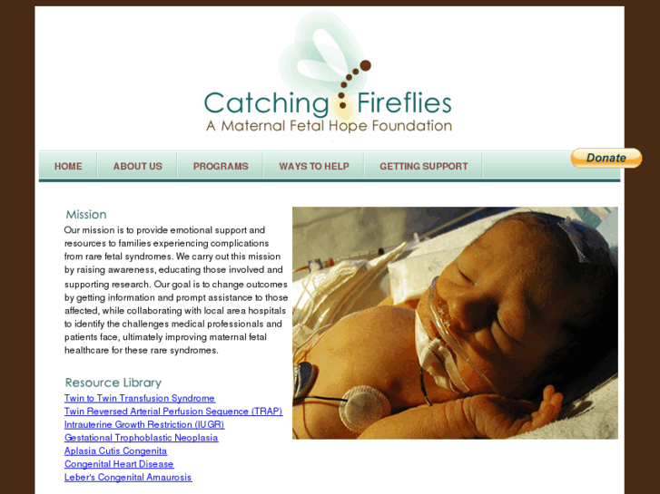 www.catchingfireflies.org