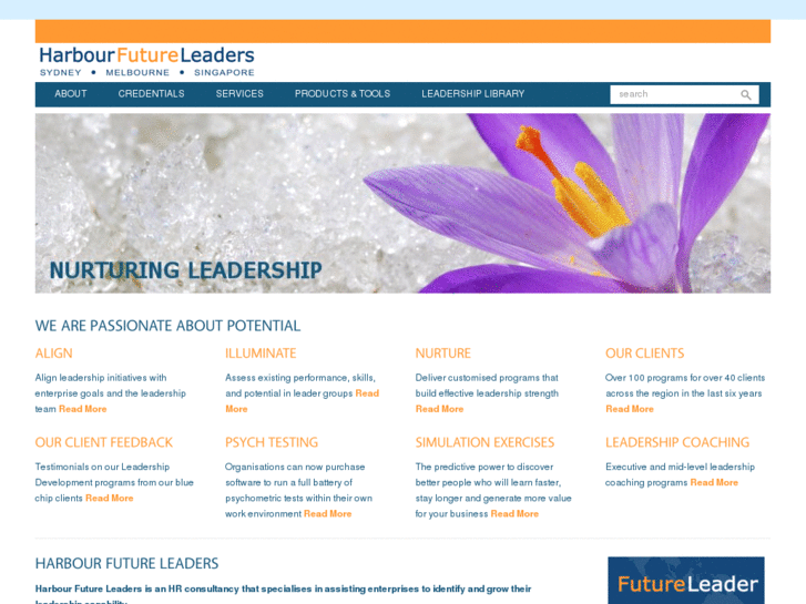 www.harborfutureleaders.com