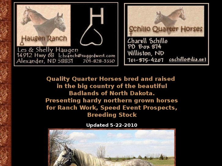 www.haugenranchquarterhorses.com