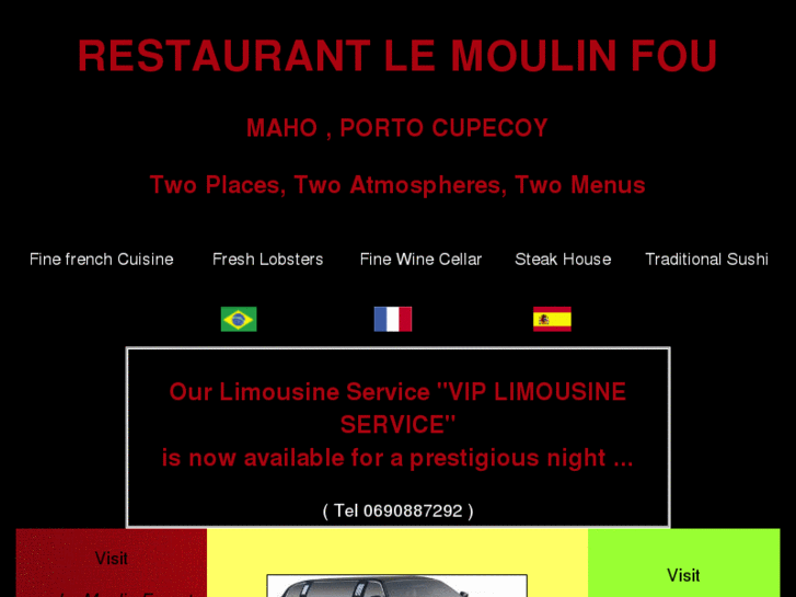 www.moulinfou.com