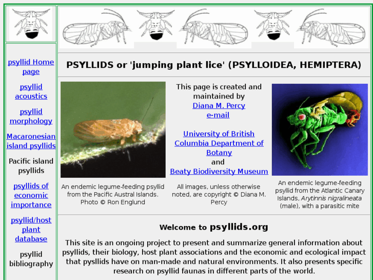 www.psyllids.org