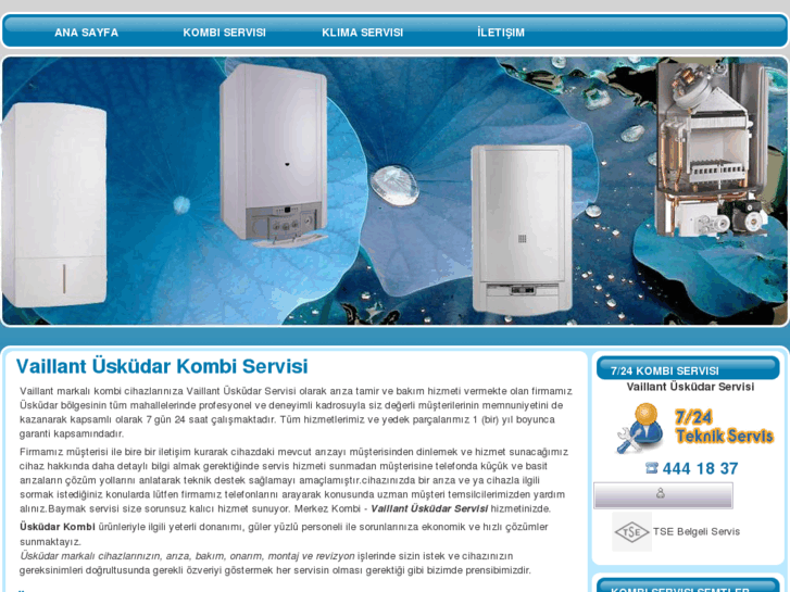 www.vaillantuskudarservisi.com