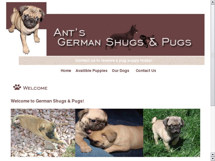 www.germanshugs.com