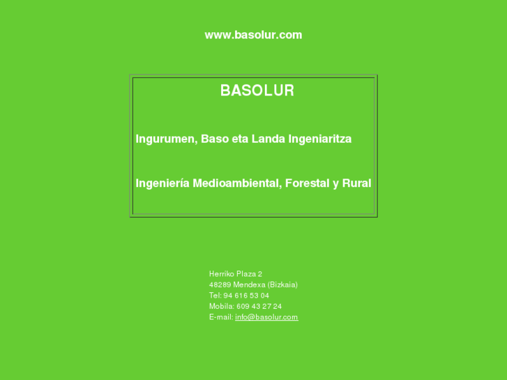 www.basolur.com