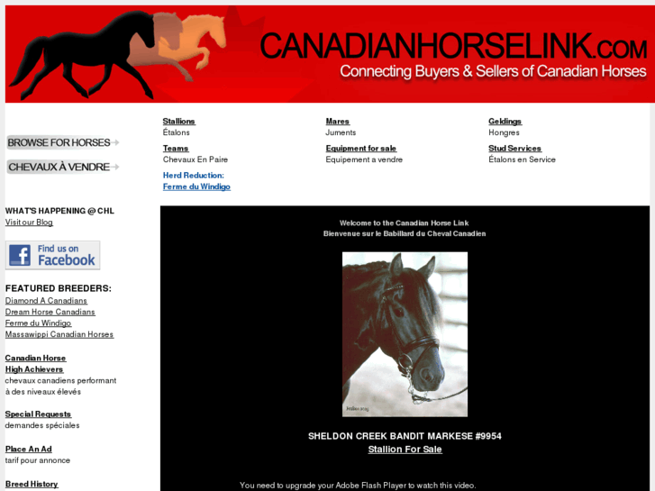 www.canadianhorselink.com