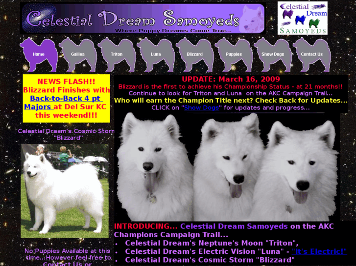 www.cdsamoyeds.com