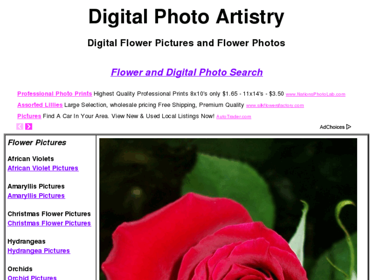 www.digitalphotoartistry.com