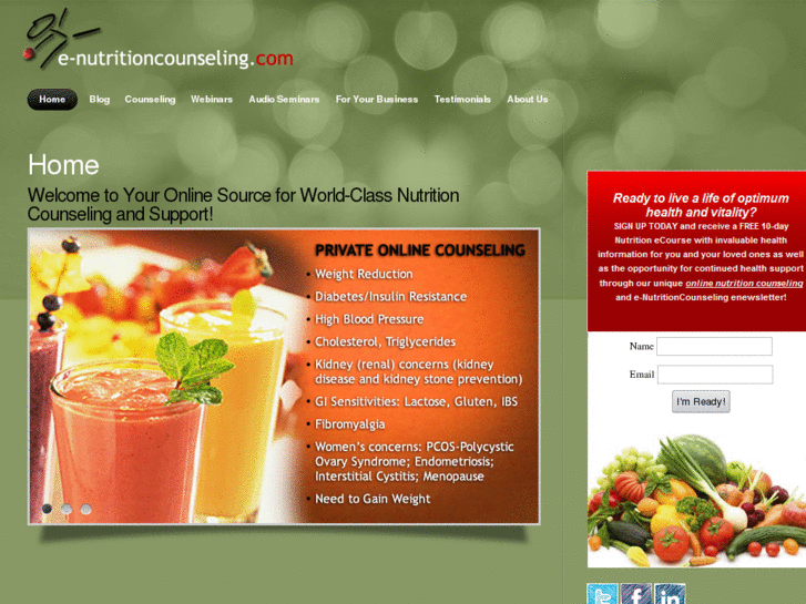 www.e-nutritioncounseling.com