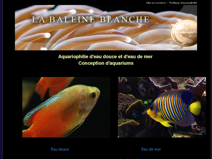 www.la-baleine-blanche.com