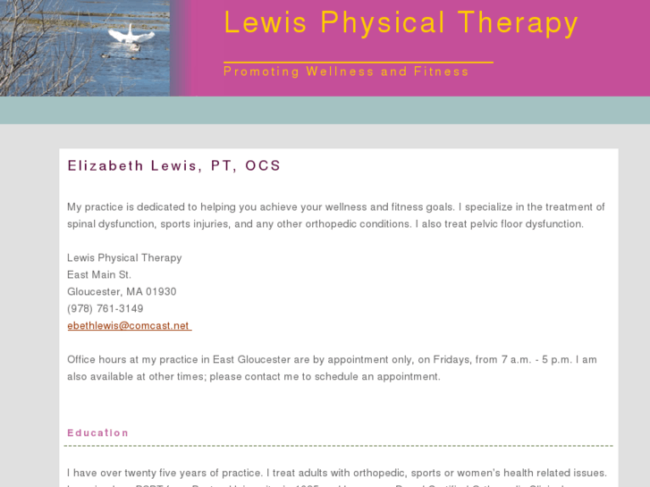 www.lewisphysicaltherapy.com