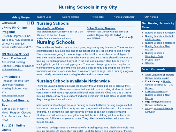 www.nursingschoolsinmycity.com