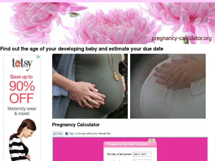 www.pregnancy-calculator.org