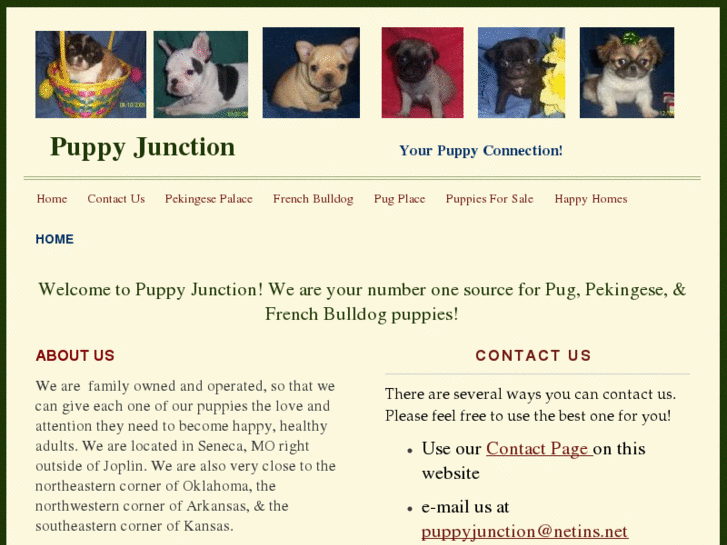 www.puppyjunction.net