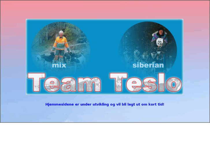 www.teamteslo.com