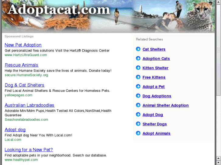 www.adoptacat.com