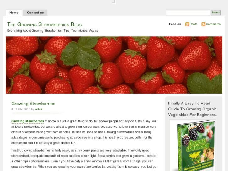 www.growingstrawberriesblog.com