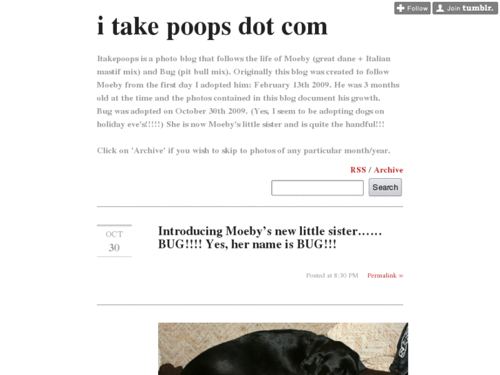 www.itakepoops.com