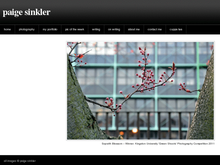 www.paigesinkler.com